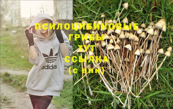 дживик Аркадак