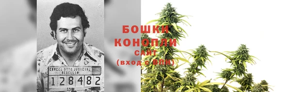 шишки Арсеньев