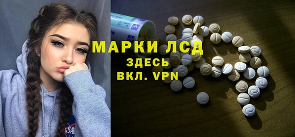 шишки Арсеньев