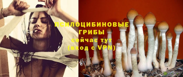 дживик Аркадак
