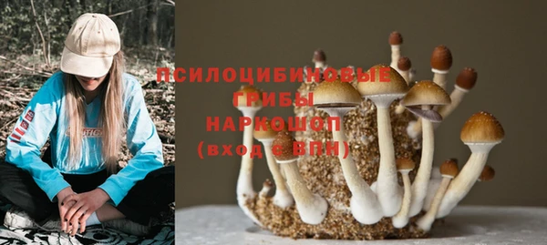 молекула духа Армянск