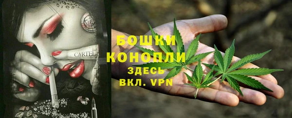 дживик Аркадак